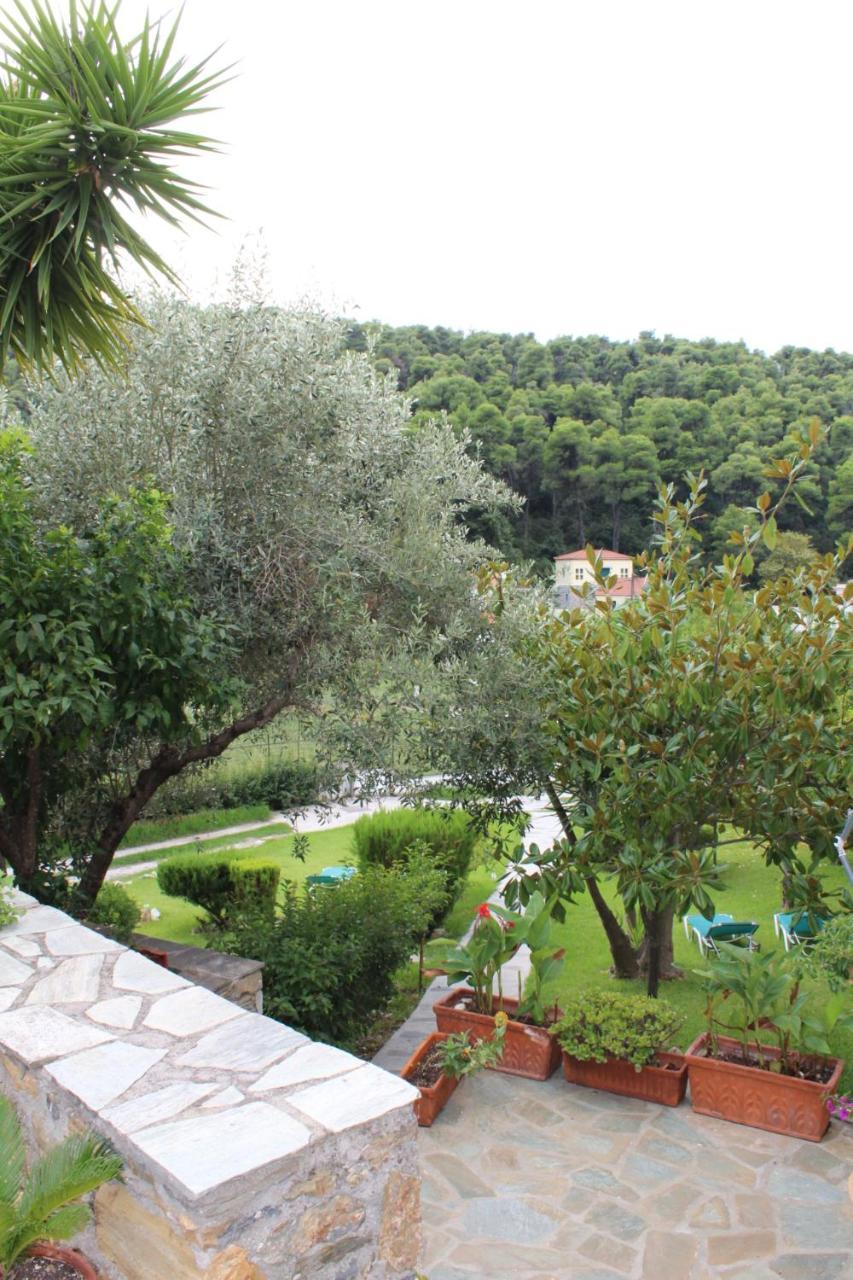 The Pine Trees Aparthotel Agnontas Exterior photo
