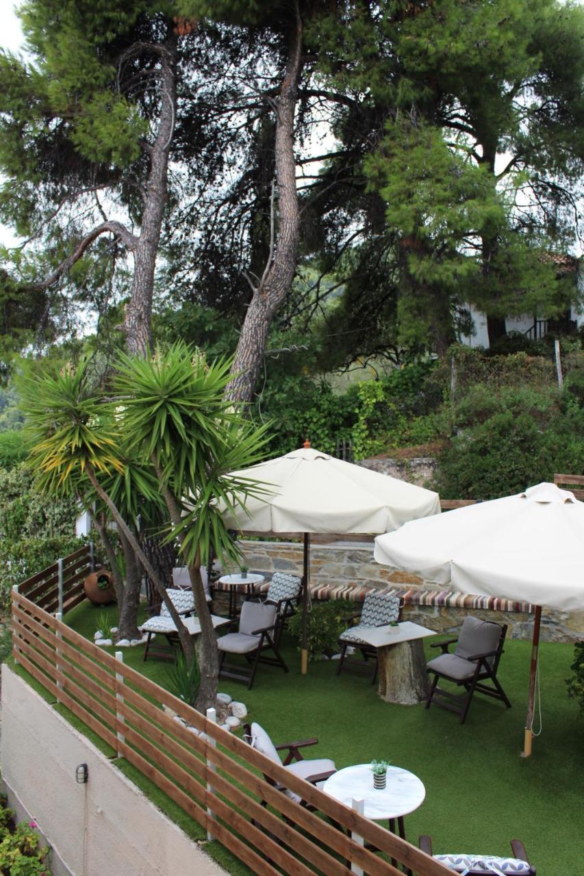 The Pine Trees Aparthotel Agnontas Exterior photo